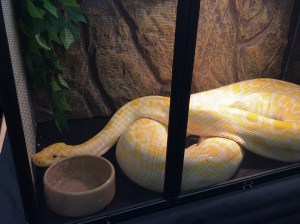 1B6B6AB1-C589-4DC4-B6E2-A79BE2B85370