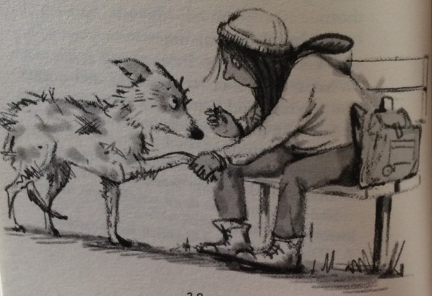 955879BD-CF58-4E67-8641-53A890E4403D