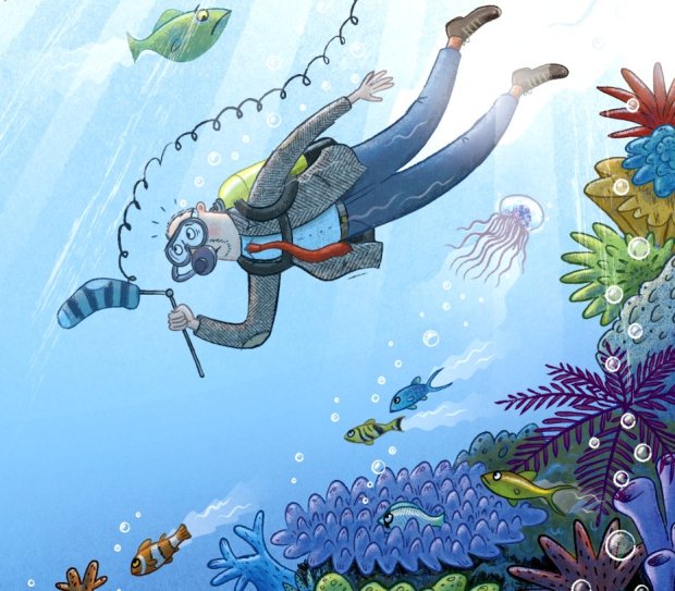 Interview With A Shark by Andy Seed, illustrated by Nick East – Mrs ...